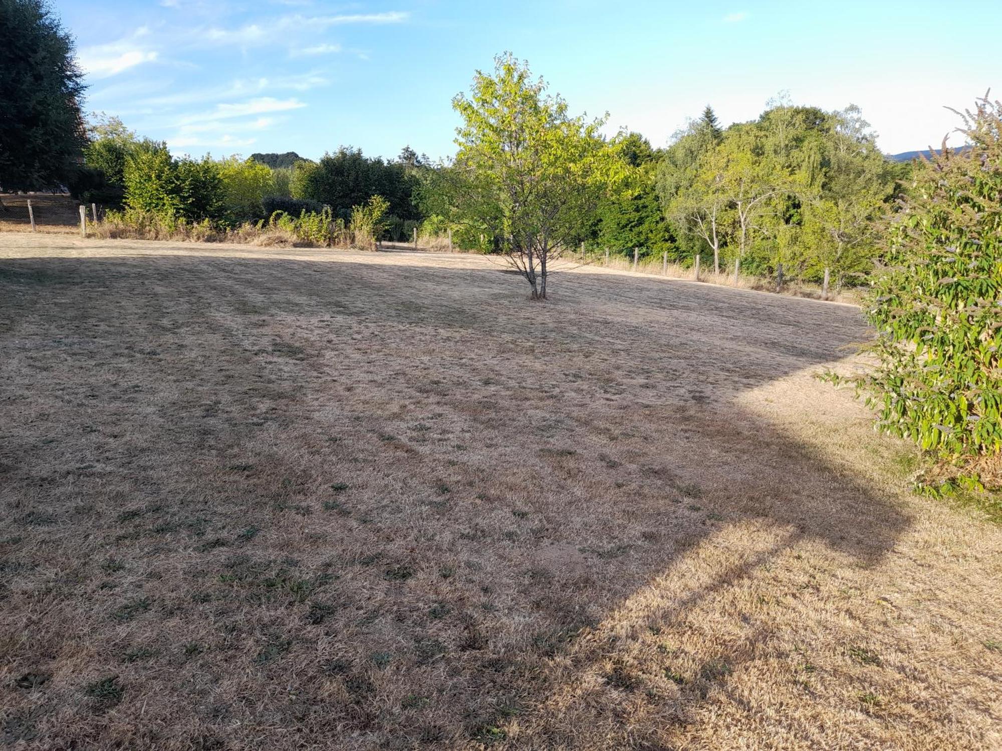 La Cantiniere Fougerolles-Saint-Valbert Exteriér fotografie
